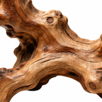 One-of-a-Kind Root Carving Sculpture